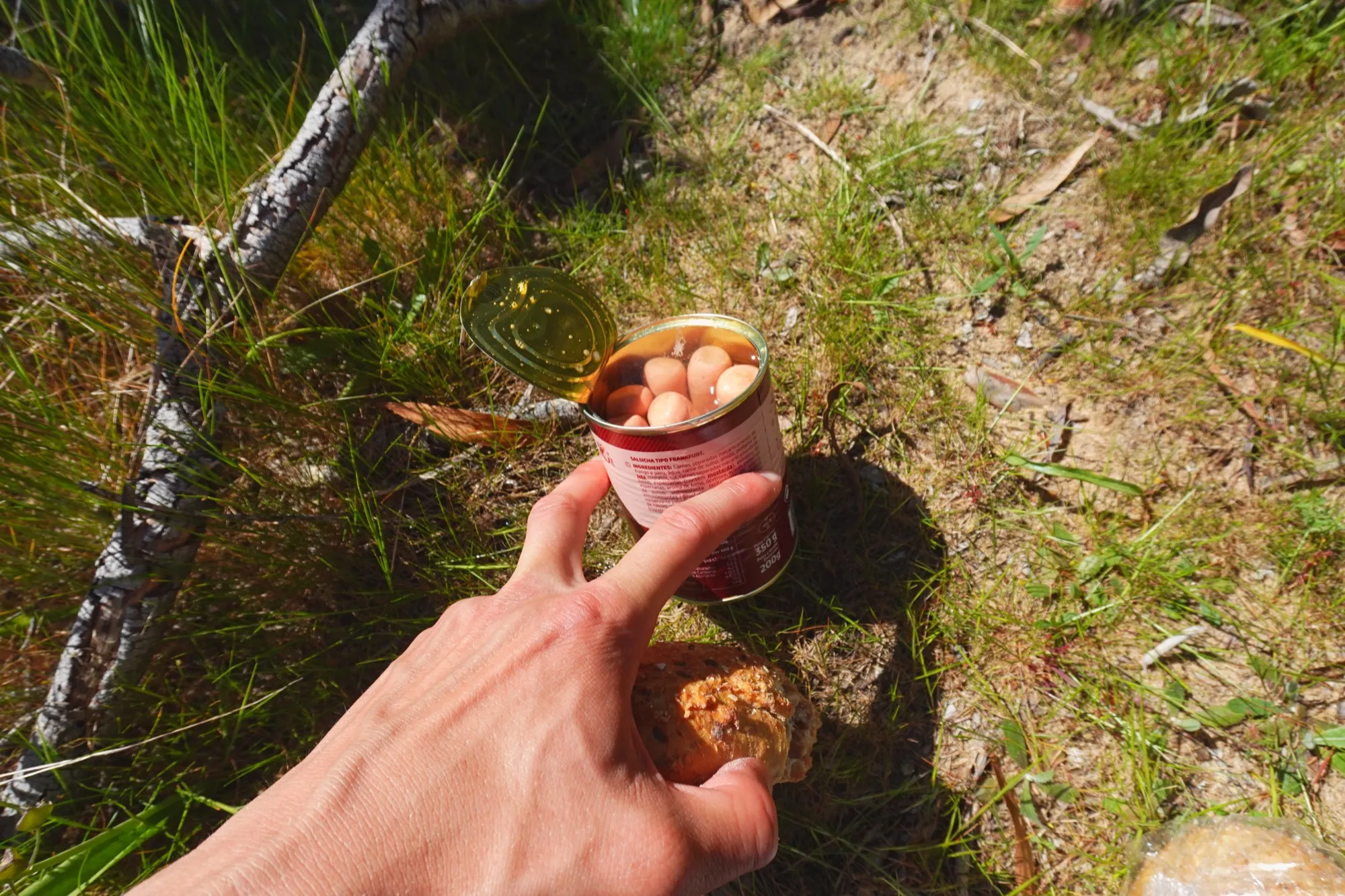 a hand holding an open can of tinned sausages over sunlit grass, a bread roll in the palm